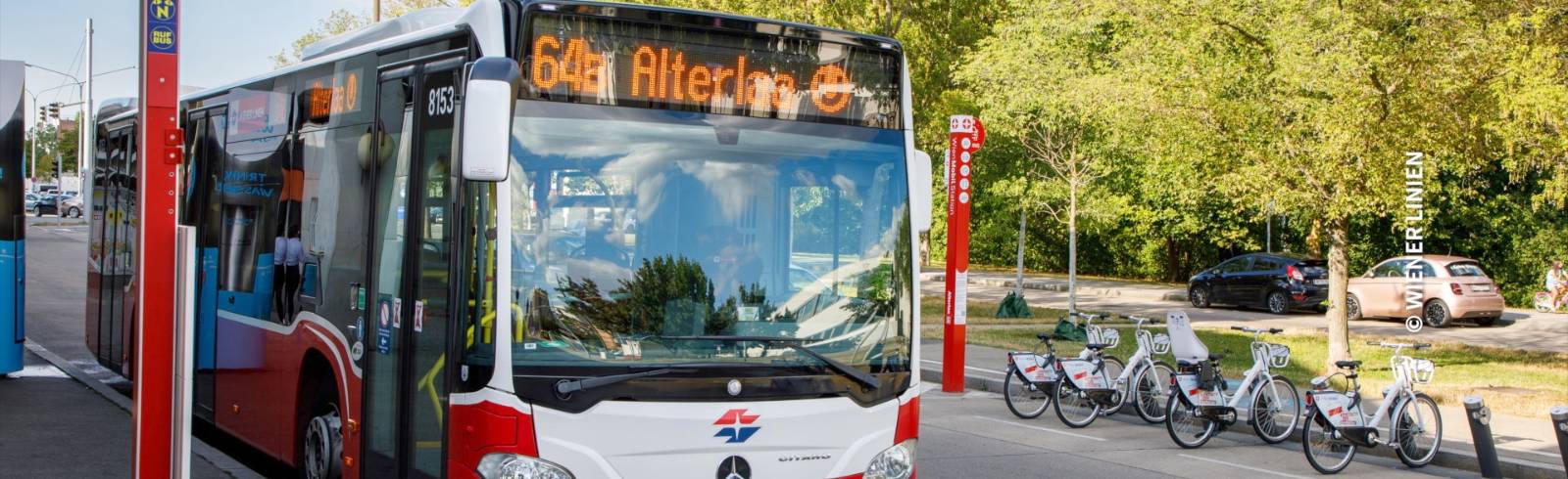 Wiener Linien: Mehr E-Busse ab Montag