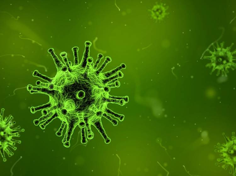 Coronavirus: Neuer Verdachtsfall in Wien