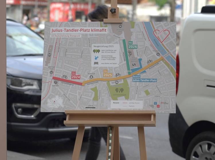 Pläne für neuen Julius-Tandler-Platz präsentiert