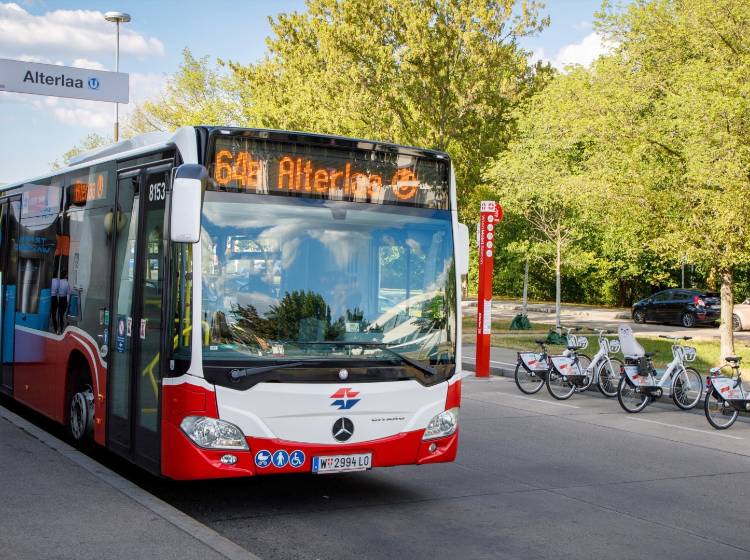 Wiener Linien: Mehr E-Busse ab Montag