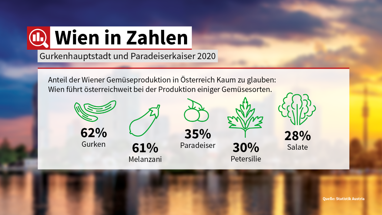 50-WiZ_Gurkenhauptstadt-und-Paradeiser-Kaiser-27