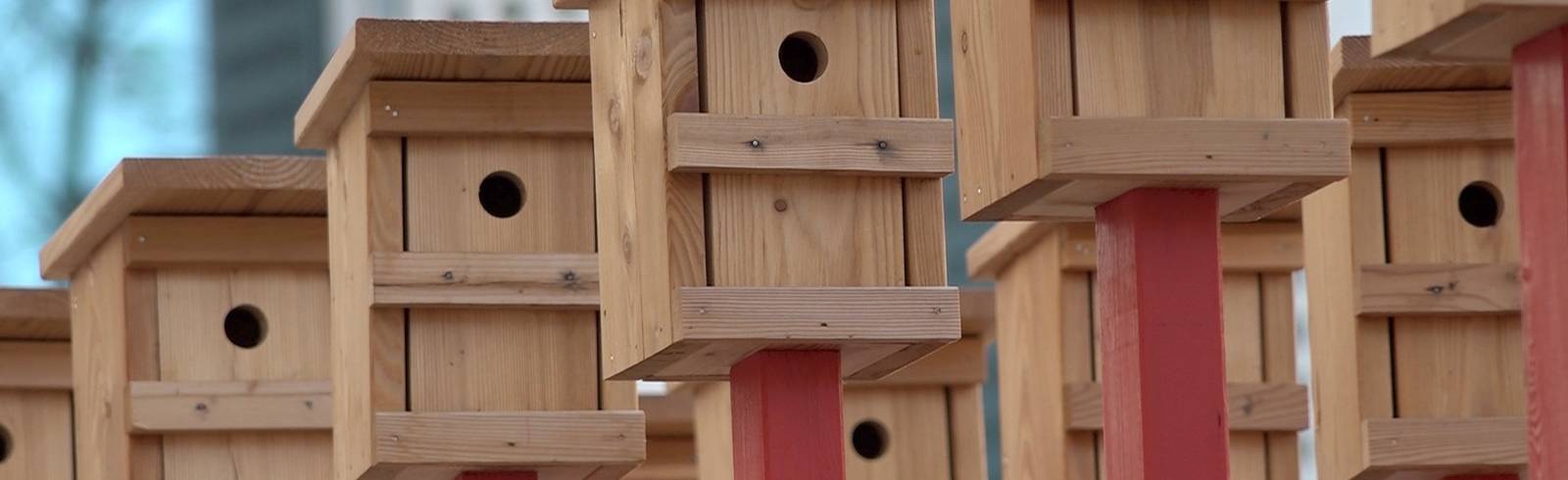 Nistkästen für Vögel und Kunstinteressierte