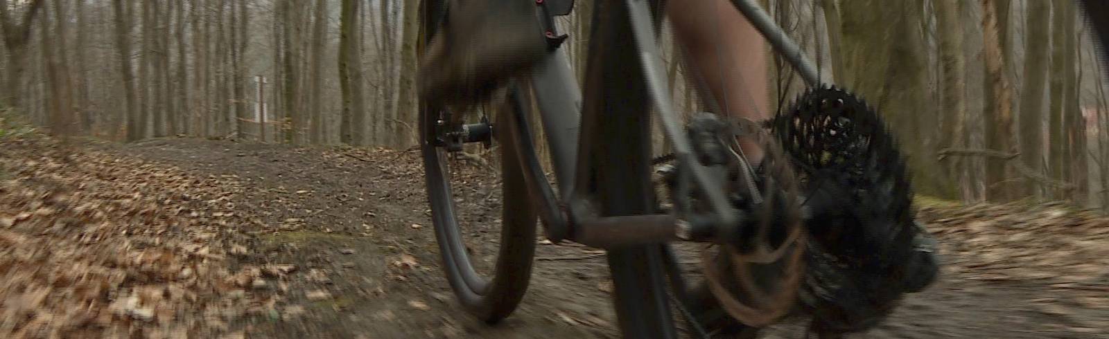 Mountainbike: Über Stock und Stein im Wienerwald