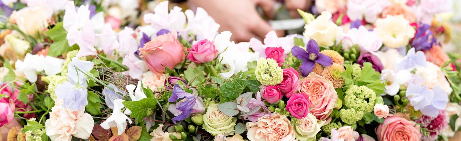 Großes Angebot für kleine Gärten