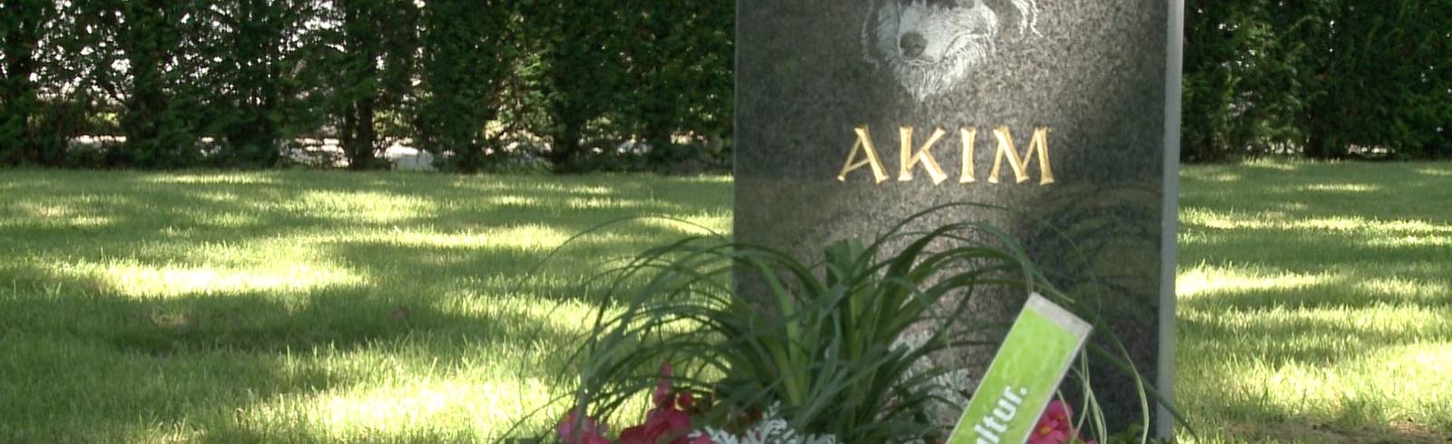 Erster Friedhof für Mensch und Tier in Wien eröffnet