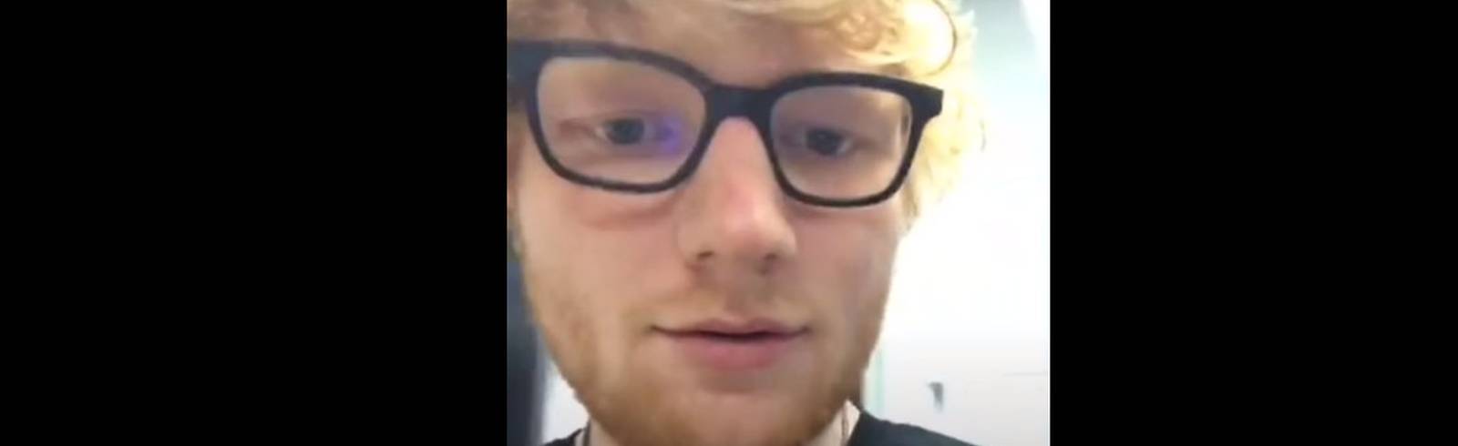 Katzen, Kotletten, Konzerte: Ed Sheeran als Instagram-Star