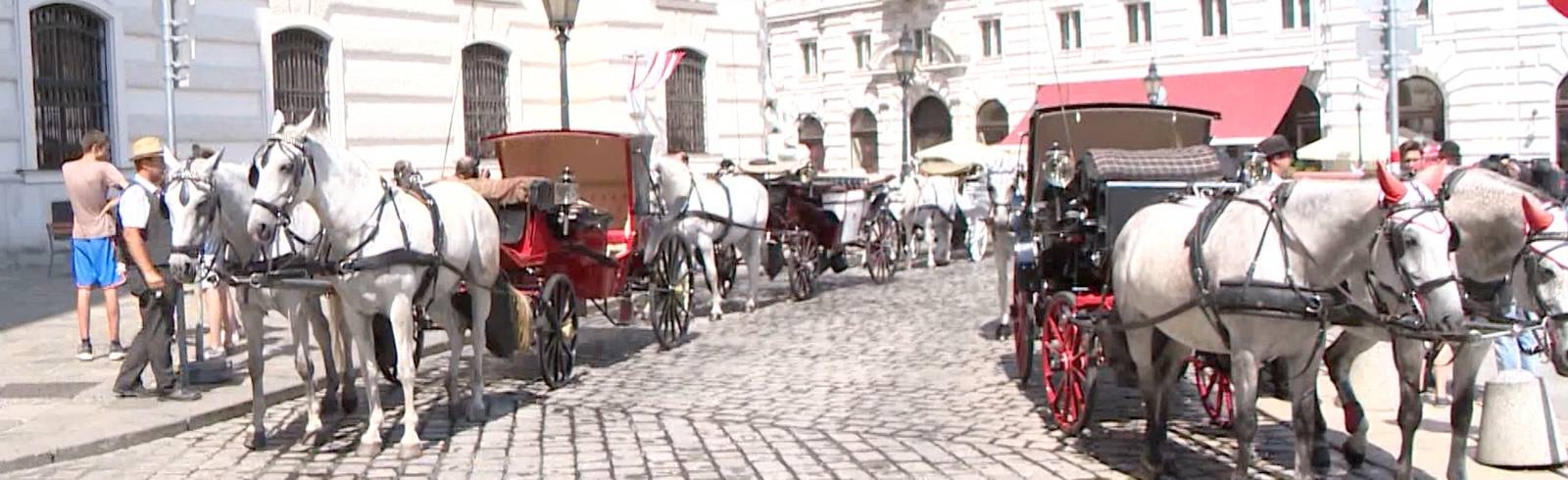 Aus für Fiaker in der Innenstadt?