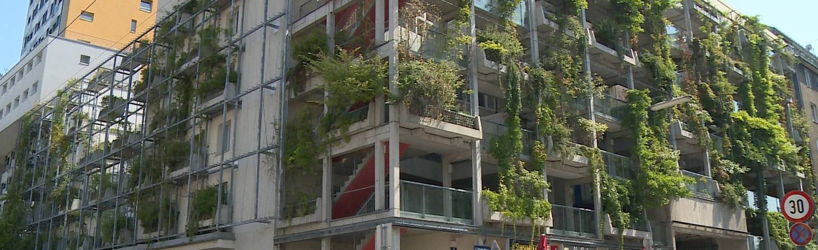 Begrünungssets für Fassaden sollen Wien abkühlen