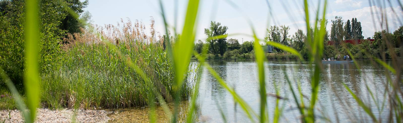 Alte Donau: Tiefe Trauer um tote Buben