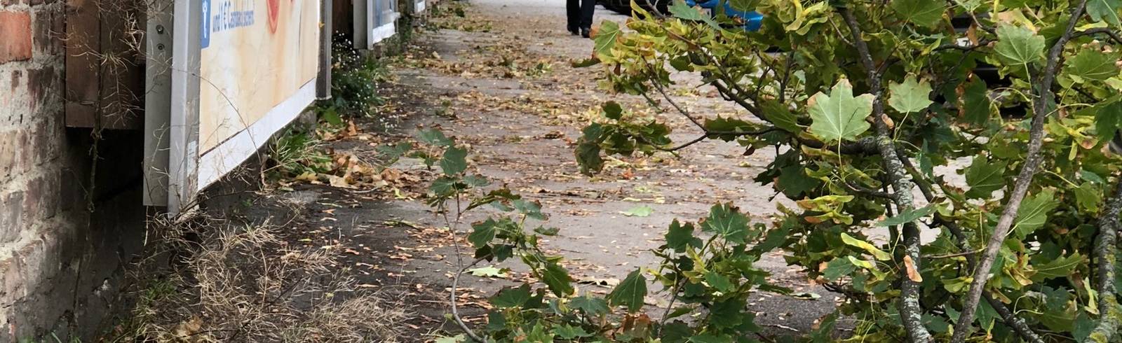 Sturm "Fabienne": Nur wenige Schäden in Wien