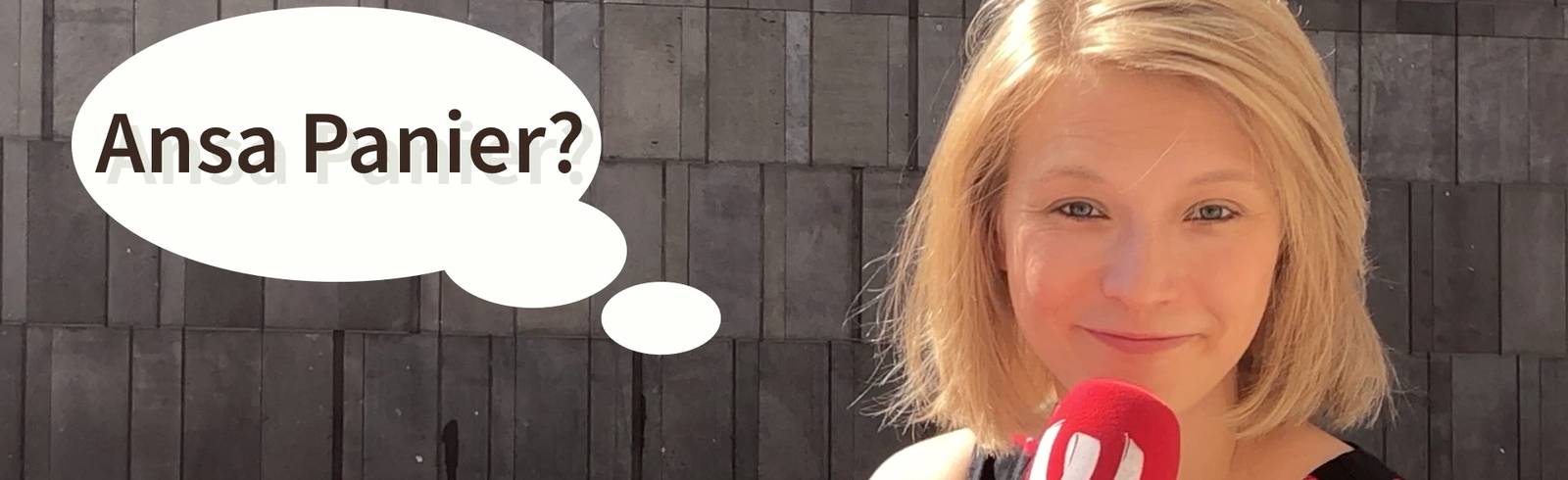 Verstehen Sie Wienerisch?