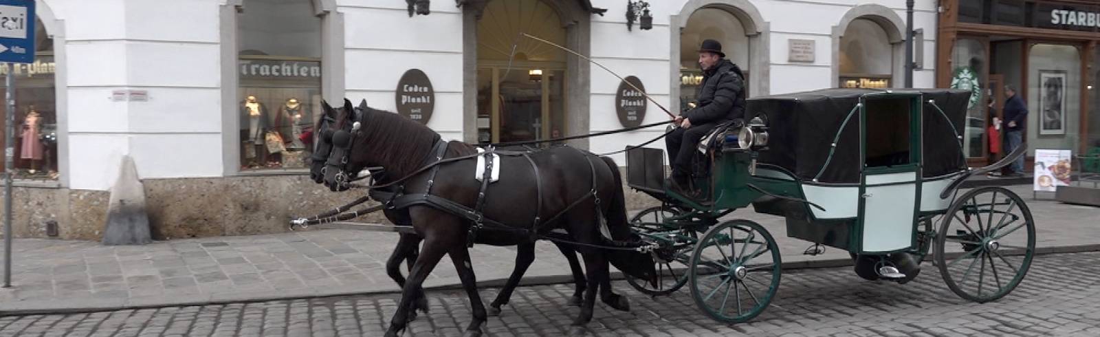 Zweijährige von Fiaker überrollt und verletzt