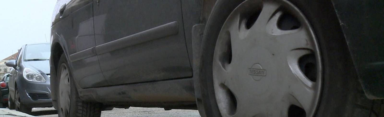 Anrainerparken: 60 Demonstranten vor dem Rathaus