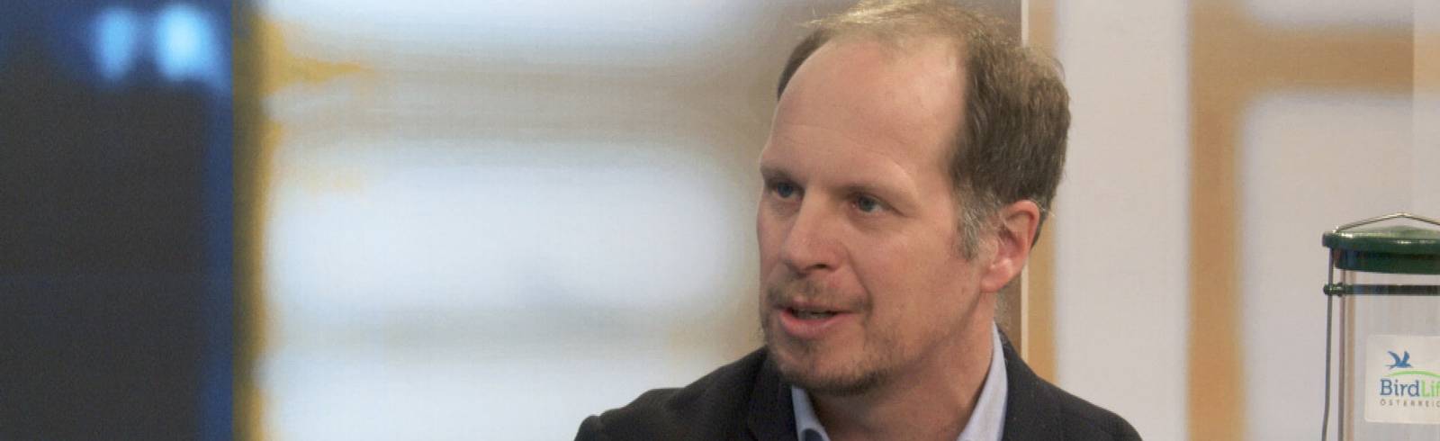 W24-Talk: Wer ist Schuld am Amselsterben?