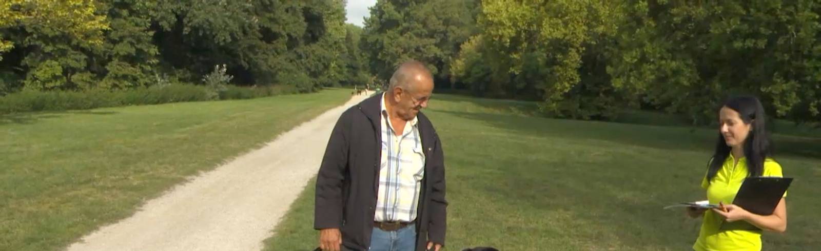 Neues Tierhaltegesetz gilt ab sofort