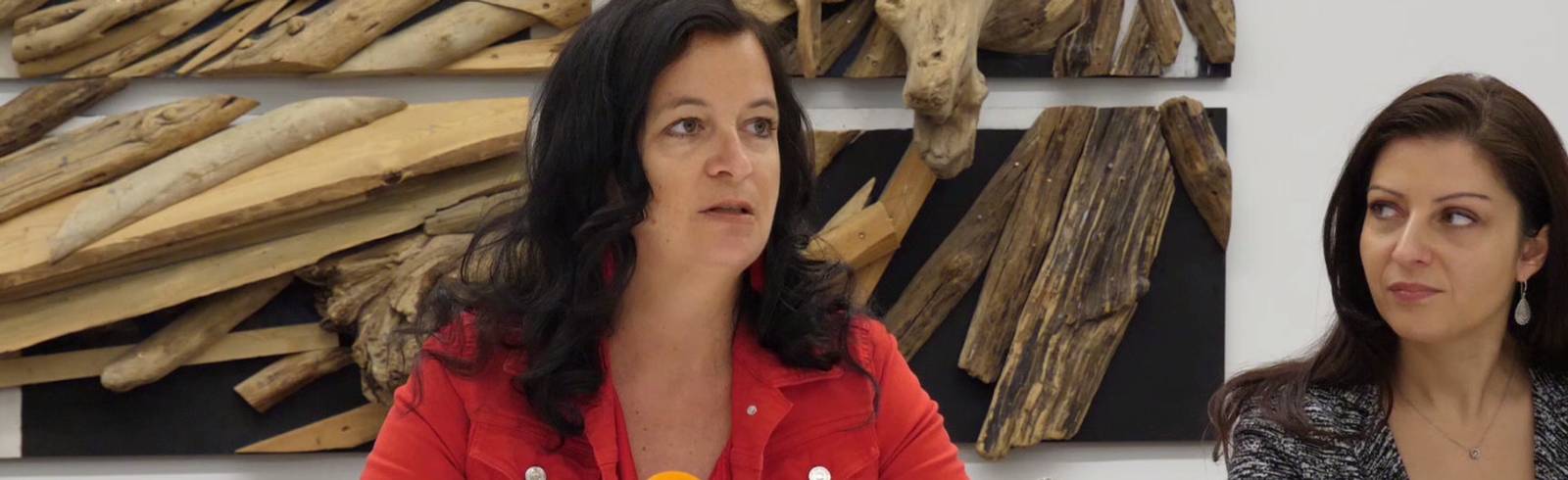 Biomasseförderung: SPÖ warnt vor Chaos