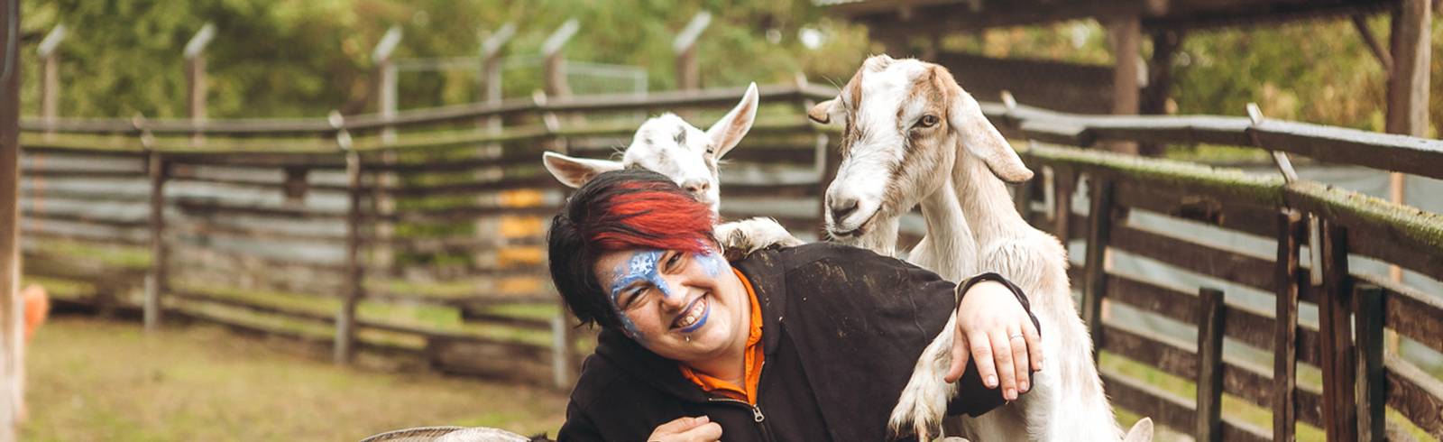 "Osterhasen-Aktion" im Tierschutzhaus