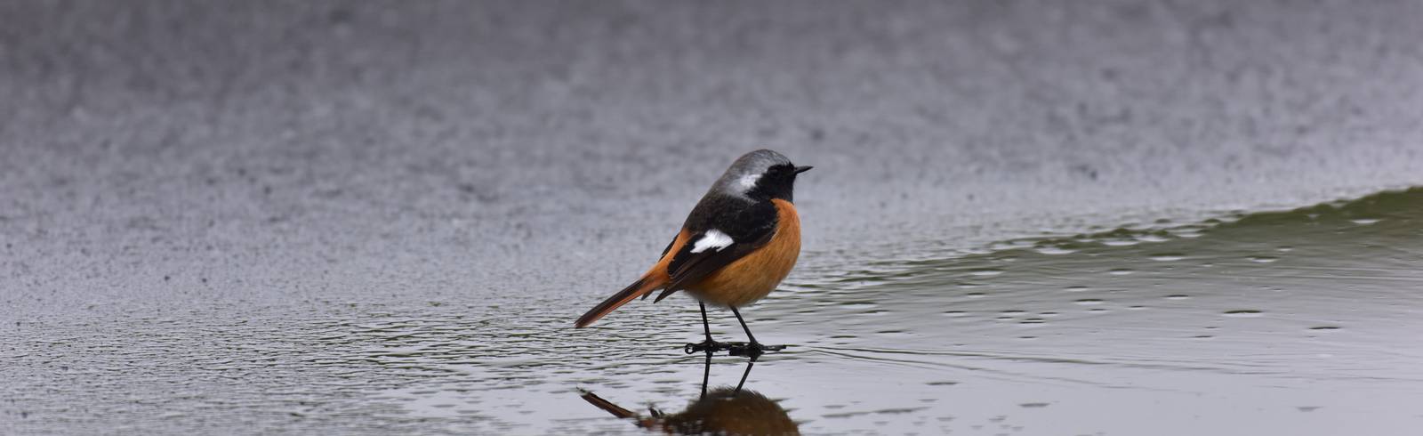 Wochenende: Es wird nass und kalt