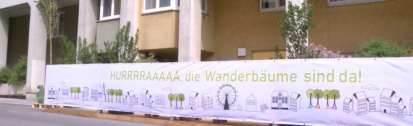 W24-Bezirksflash: Wanderbaumallee