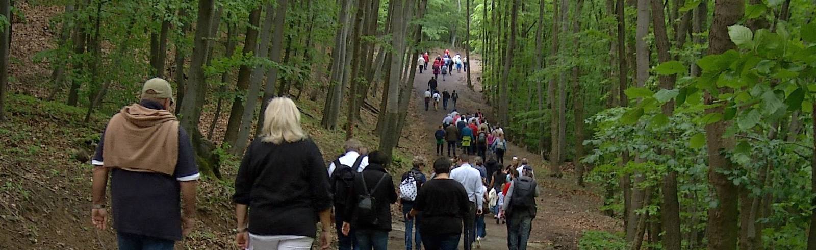 Europawanderung im Lainzer Tiergarten