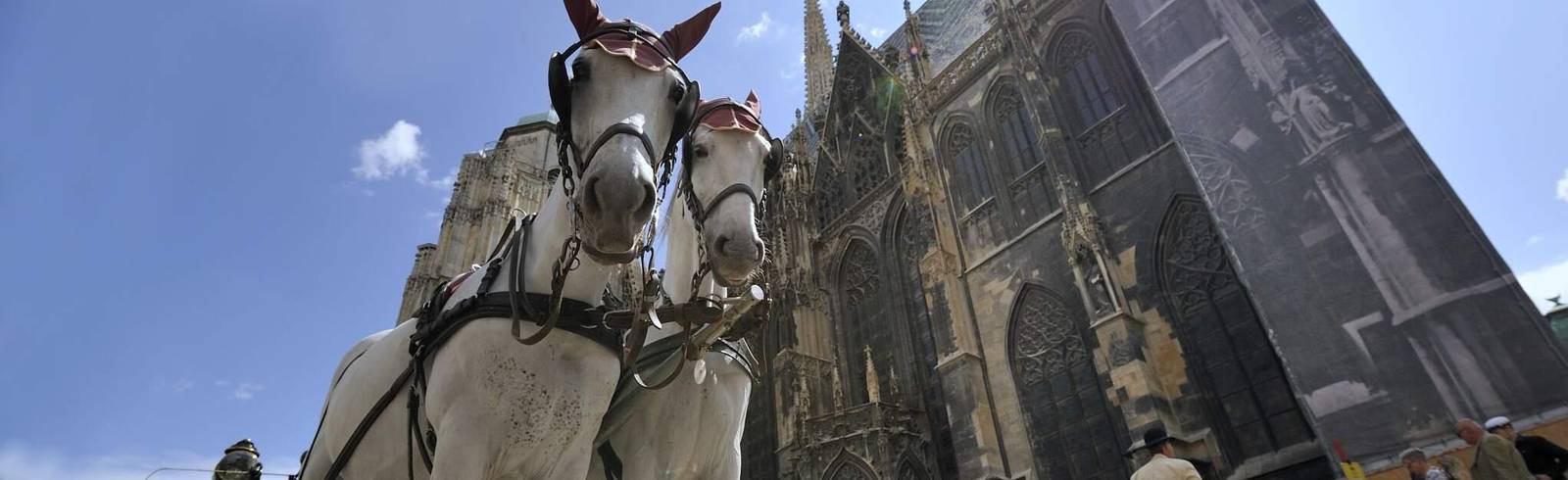 Fiakerpferde bekommen hitzefrei