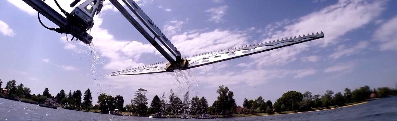 Alte Donau: Bisher 1.700 Tonnen Wasserpflanzen entfernt