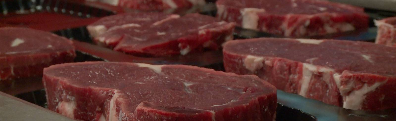 Mehr Bio und Tierwohl für Großküchen