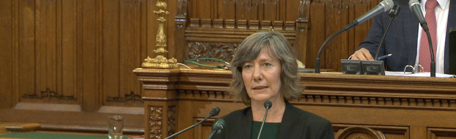 Gemeinderat: Causa Chorherr als Thema