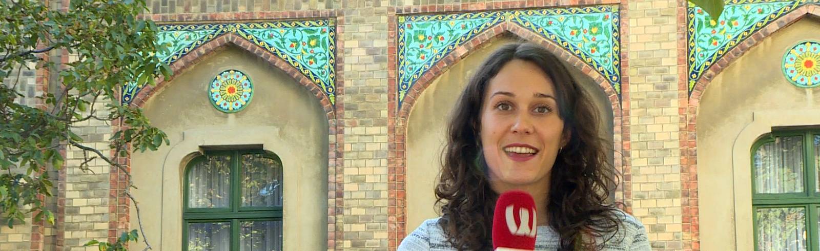 Grätzlkuriositäten: Das Zacherlhaus