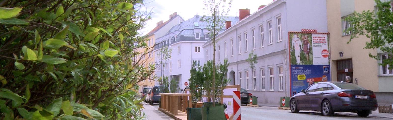 W24-Bezirksflash: Wanderbaum-Vandalismus