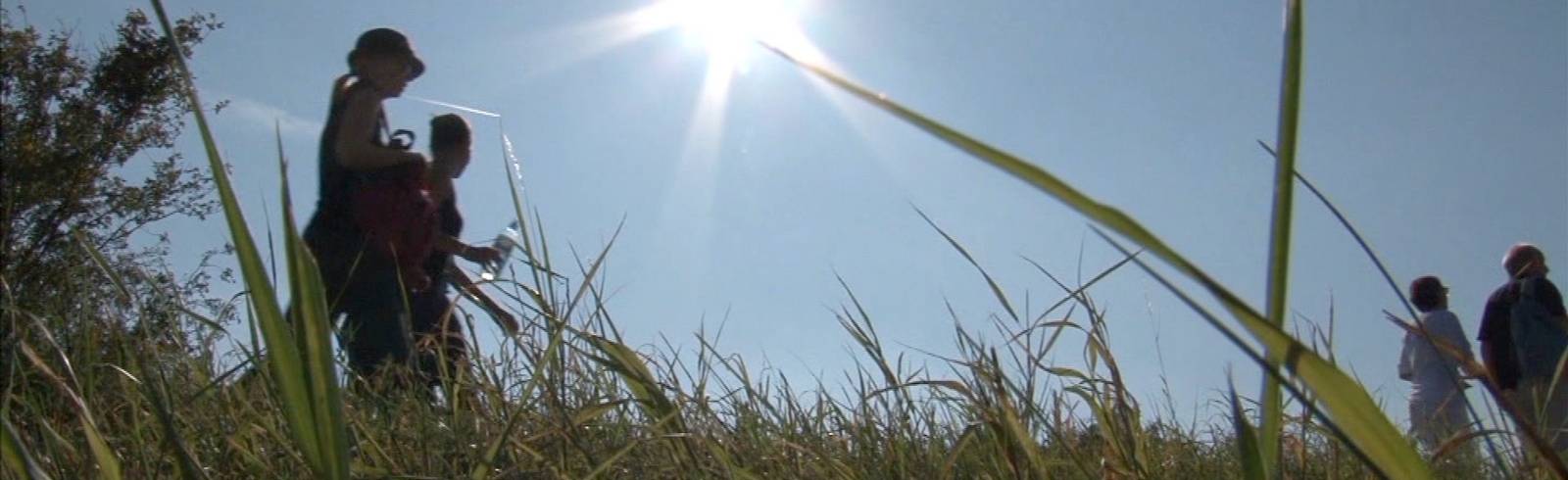 Klimaschutz als Chance für die Wirtschaft?