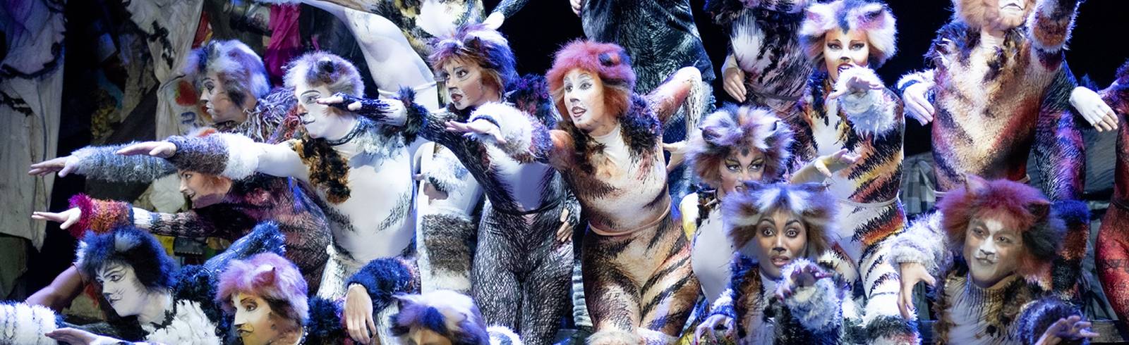 CATS geht in die Verlängerung