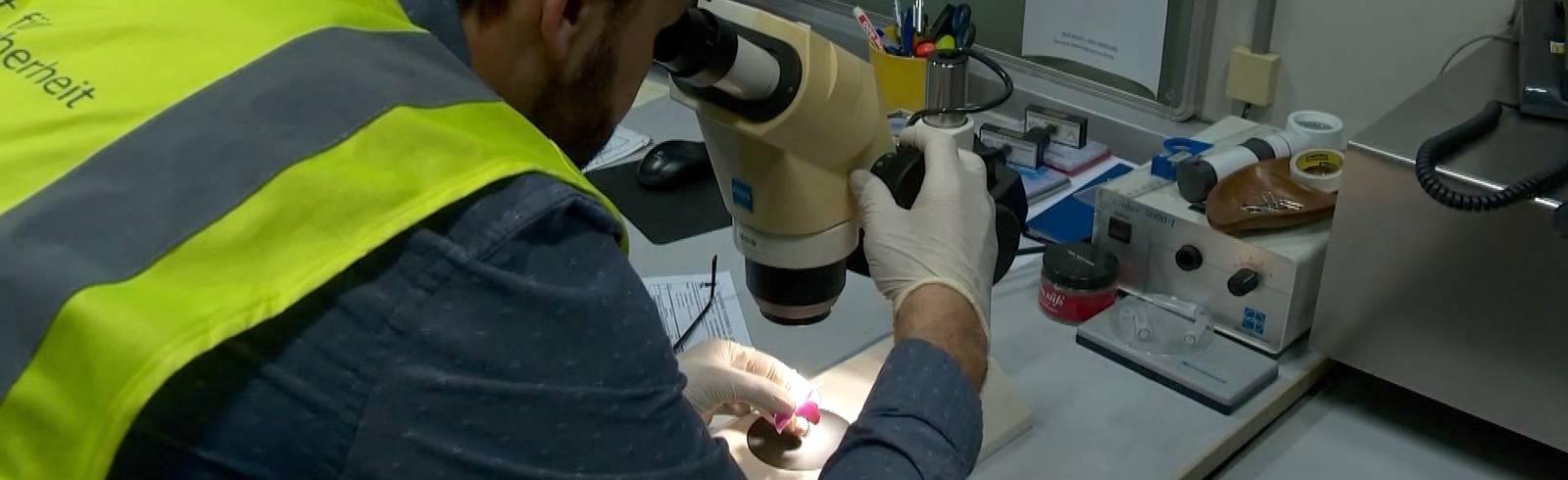 Flughafen Wien: Schnittblumen im Blickpunkt