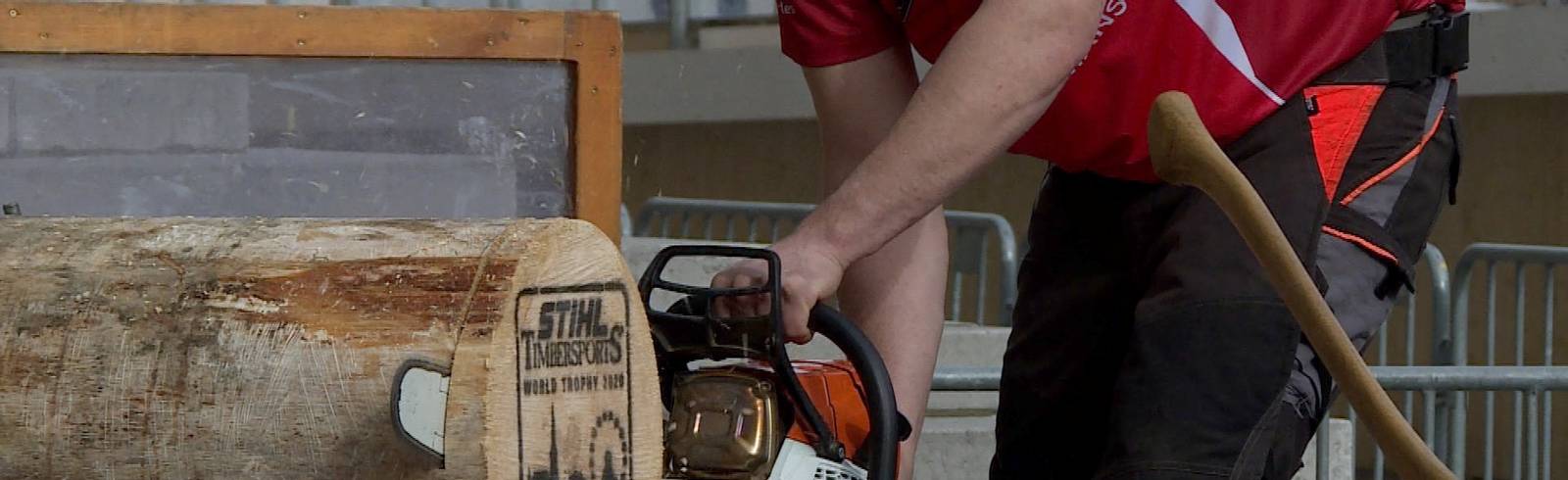 Sportholzfällen: "Mukis sind nicht so wichtig"