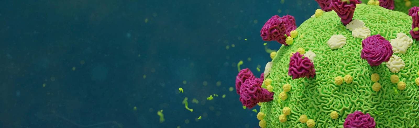 Wiener kommen mit Corona-Krise halbwegs klar