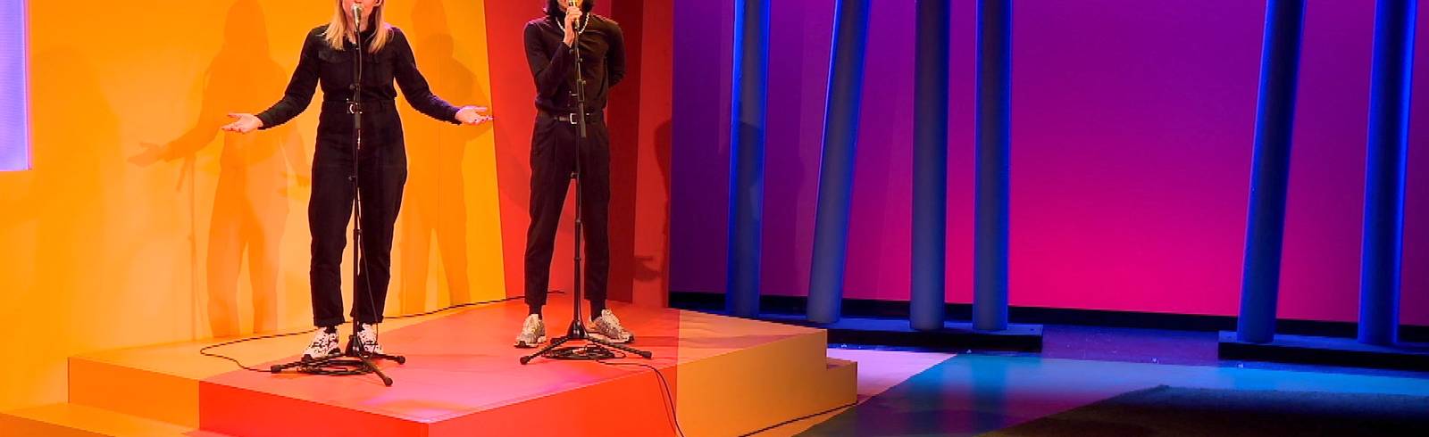 Veronica Kaup-Hasler zu Wiens Kultur-Hilfen