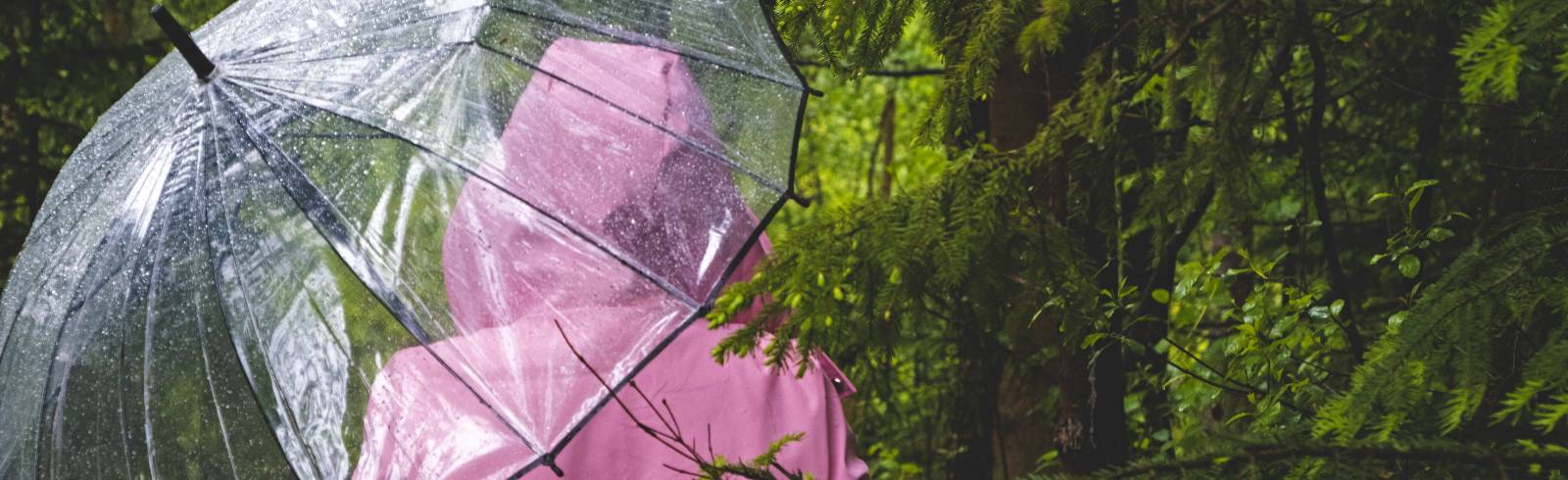 Eisheilige: Durchschnittstemperaturen erwartet