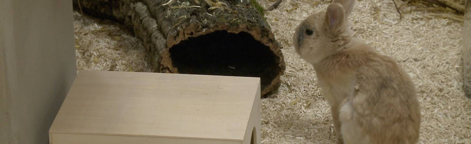 TierQuartier Wien wieder im Normalbetrieb