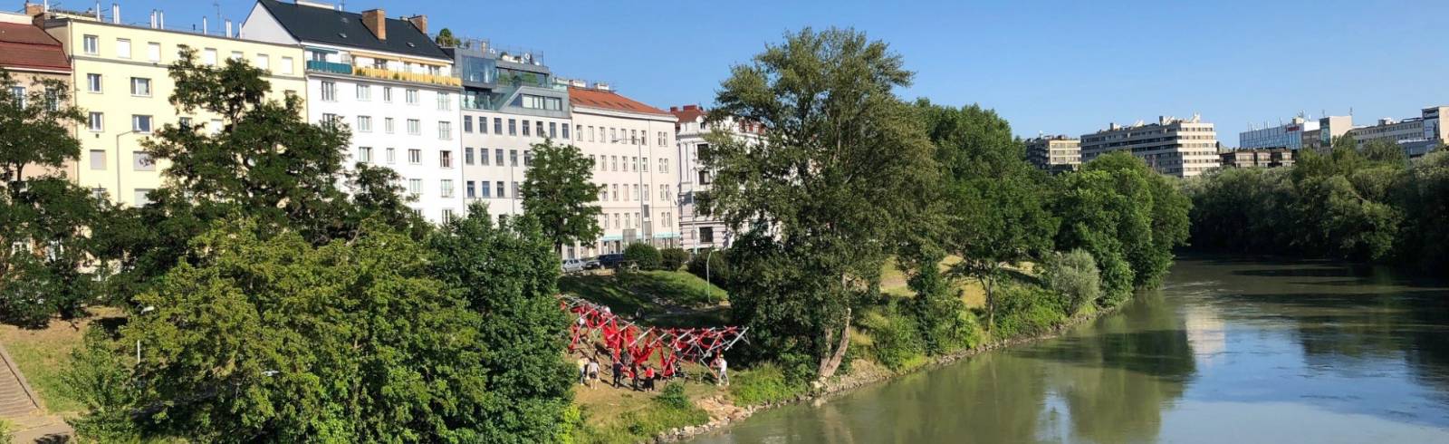 Bezirksflash: Wal am Donaukanal gestrandet