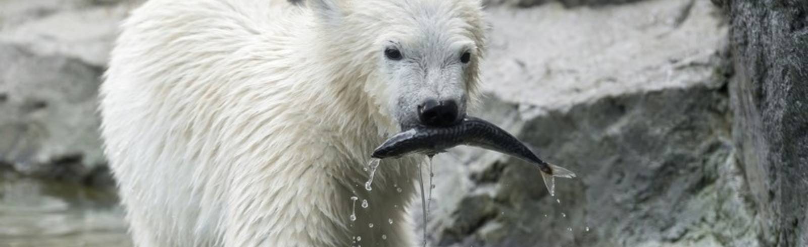 Finja ist jetzt Fischerin