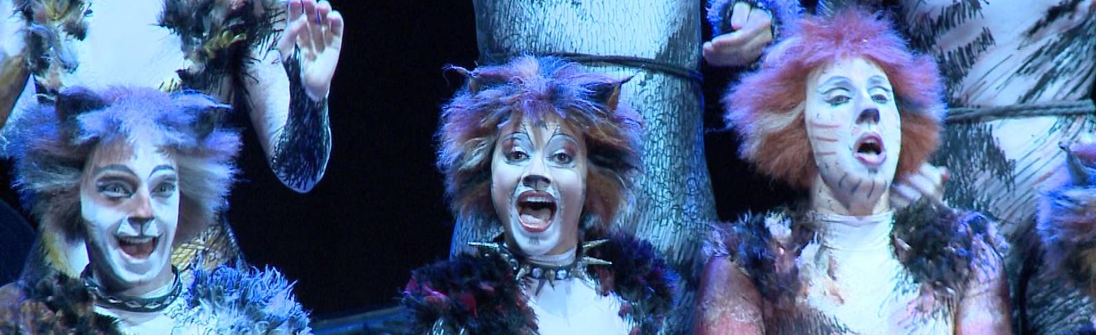 Neues Präventionskonzept für „CATS”-Musical