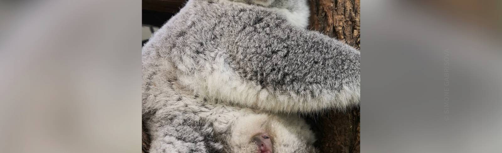 Bezirksflash: Neuer Mistplatz für Favoriten