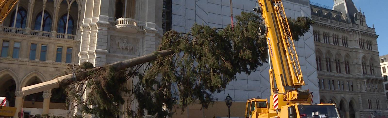 Weihnachtsbaum: Zeichen für Zusammenhalt