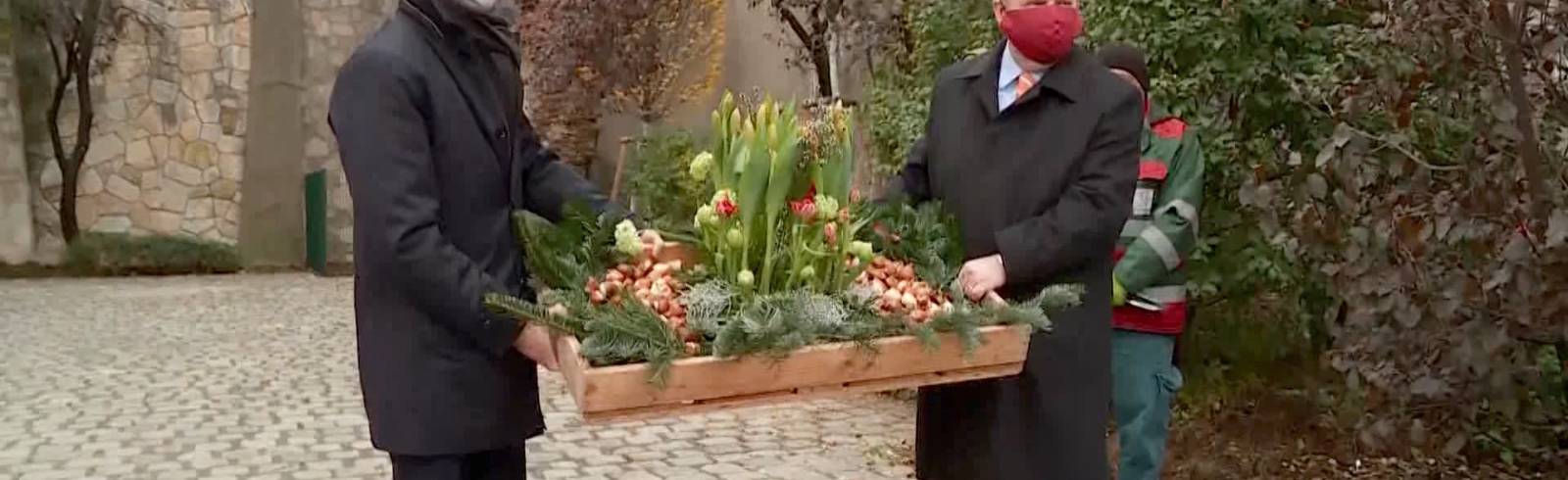 Solidaritätsgeste: 10.000 Tulpen für Wien