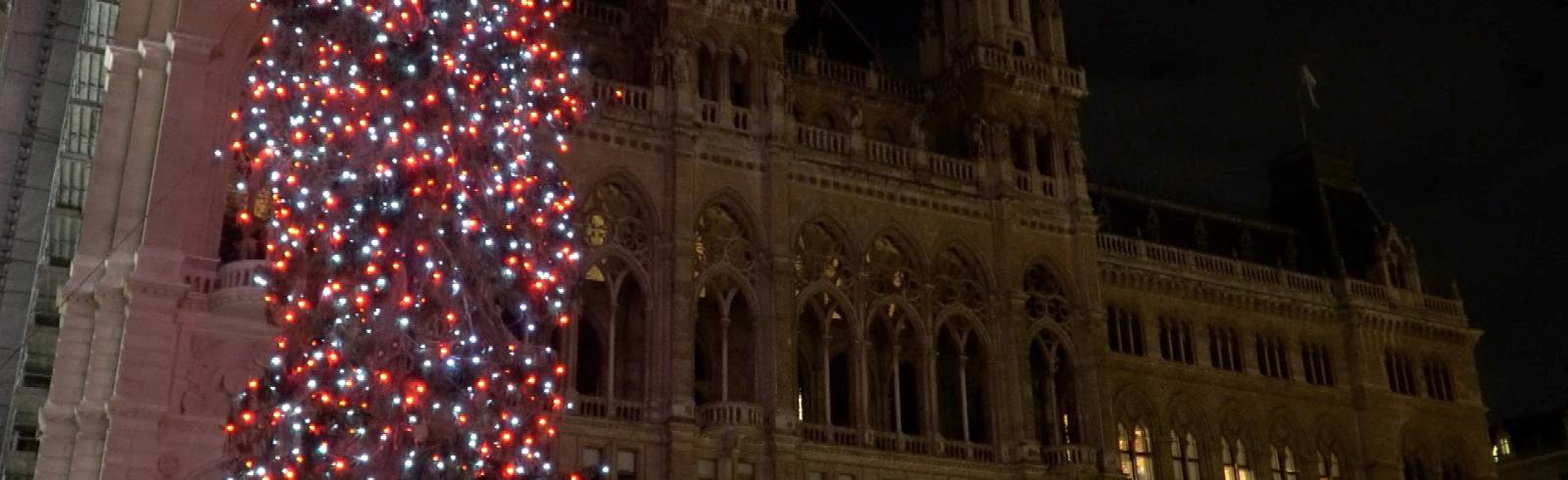 Der Christbaum am Wiener Rathausplatz leuchtet