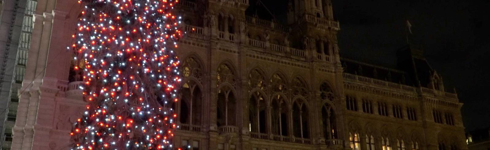 Der Christbaum am Wiener Rathausplatz leuchtet