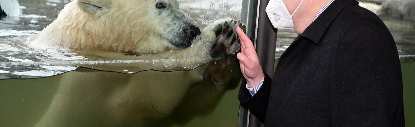 Ein freudiges Wiedersehen