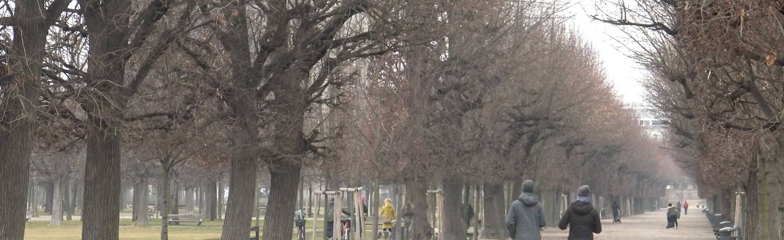 "Der Spaziergang" von Sebastian Bobik