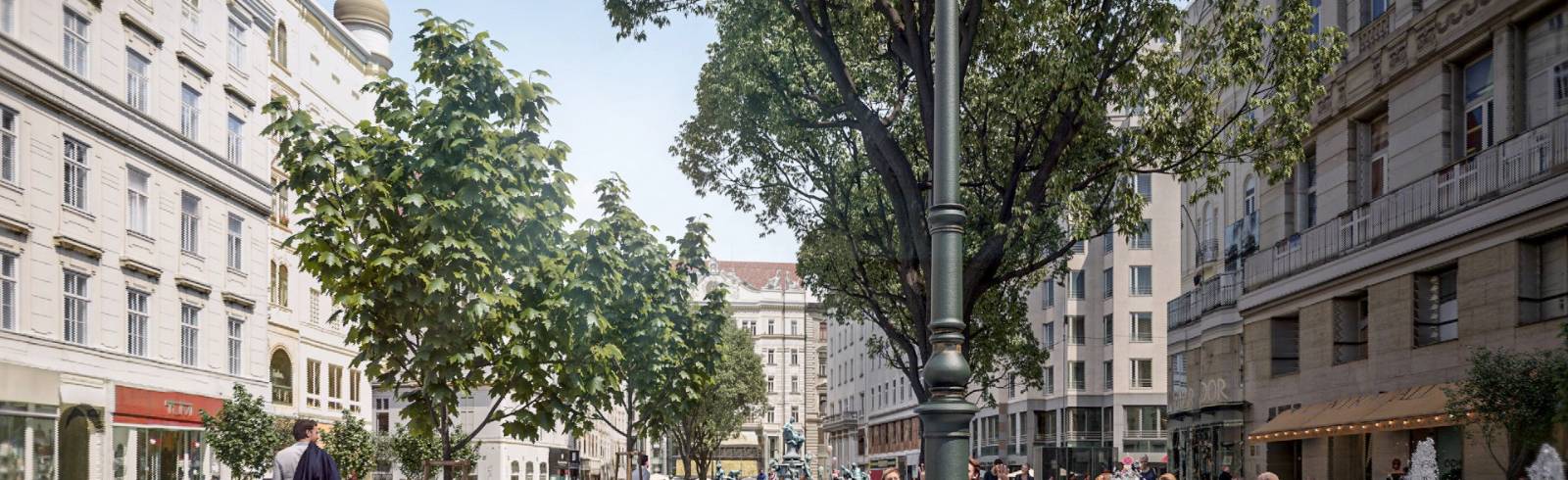 Innenstadt: Neuer Markt bekommt alte Bäume