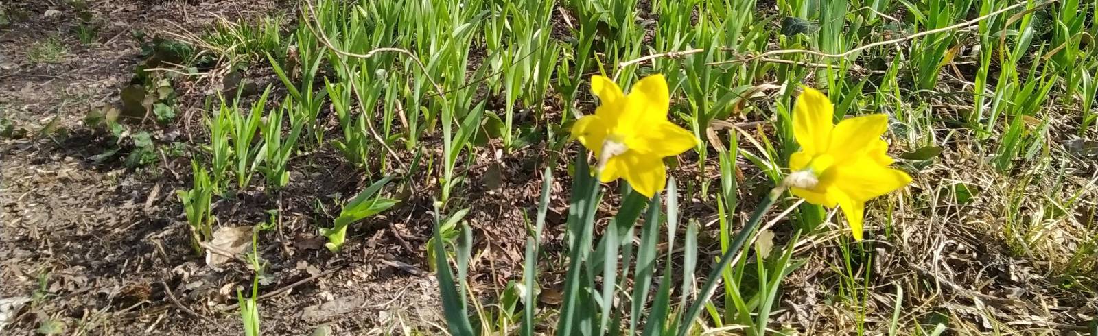 Countdown zur Osterruhe